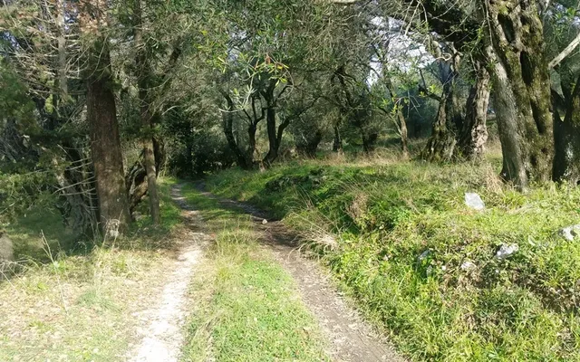 Земельный участок в Corfu