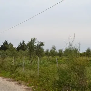 Земельный участок в Корфу, фото 3