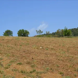Земельный участок в Kassandra Municipality, фото 4