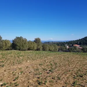 Земельный участок в Kassandra Municipality, фото 3