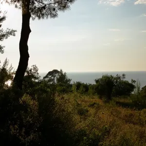 Земельный участок в Kassandra Municipality, фото 5