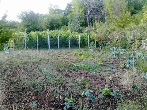 Земельный участок в Каменово  