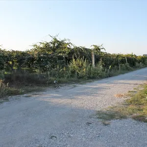 Земельный участок в Катерини, фото 2
