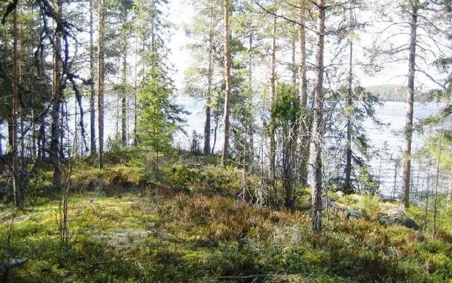 Земельный участок в Савонлинна