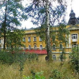Сфера услуг в Марианске-Лазне, фото 5
