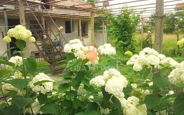 Отдельный дом в Бургас