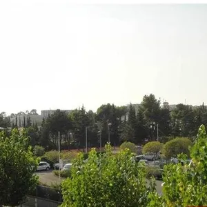 Квартира в Скалея, фото 3