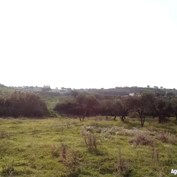 Земельный участок в Ситониа, фото 1
