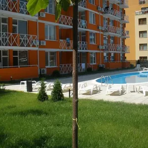 Студия в Солнечный берег, фото 2