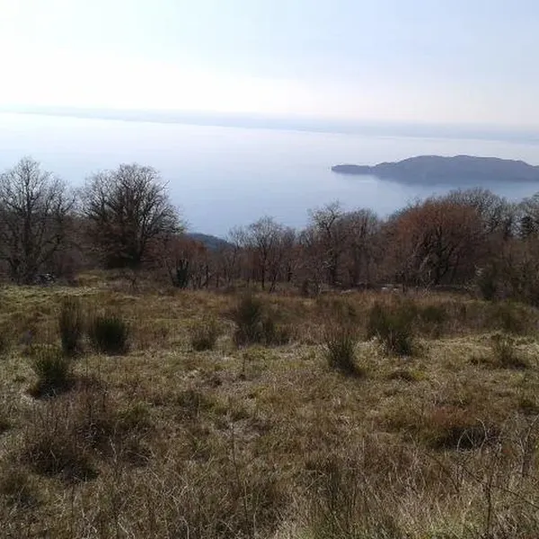 Земельный участок в Кульяче, фото 1