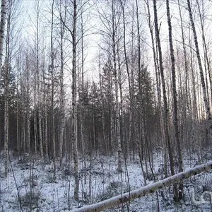 Земельный участок в Руоколахти, фото 4