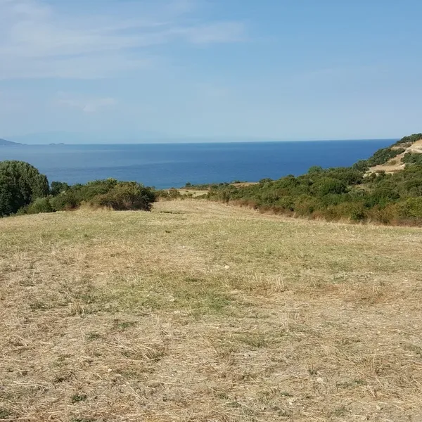 Земельный участок в Aristotle University of Thessaloniki, фото 1