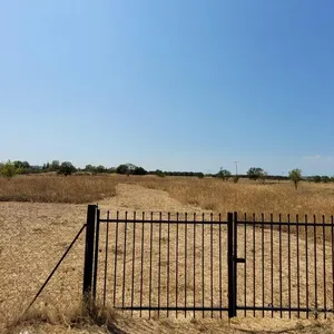 Земельный участок в Терми, фото 2