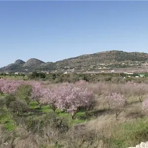 Вилла в Педрегер, фото 2