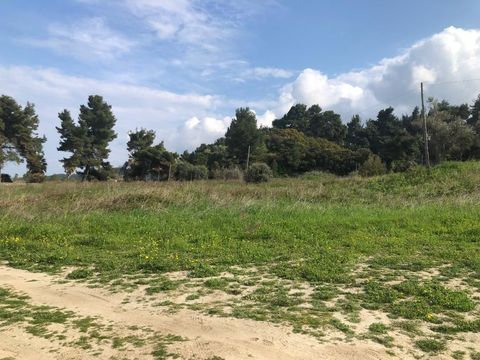 Земельный участок в Халкидики