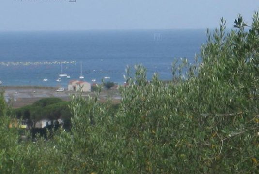 Земельный участок в Пиран