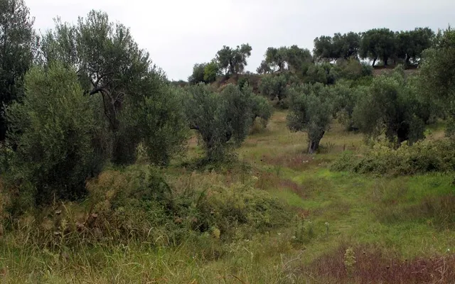 Земельный участок в Kassandra Municipality