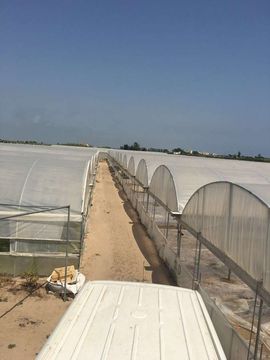 Земельный участок в Кульера