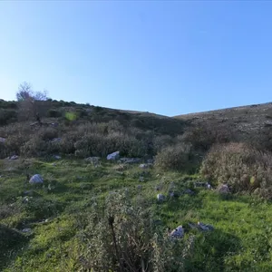 Земельный участок в Corfu, фото 2