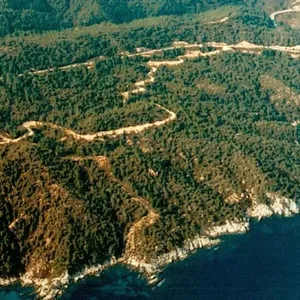 Земельный участок в Ситониа, фото 4
