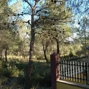 Шале в Айора, фото 2