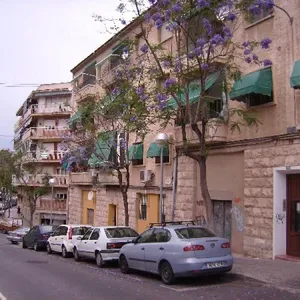 Квартира в Аликанте, фото 3