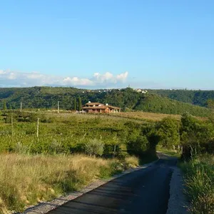 Дом в Шаред, фото 5