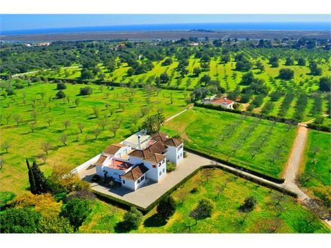 Вилла в Тавира