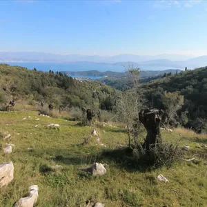 Земельный участок в Corfu, фото 5