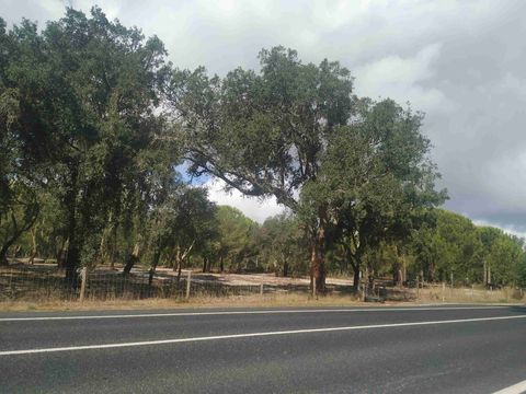 Земельный участок в Лиссабон