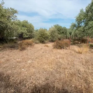 Земельный участок в Тасос, фото 3