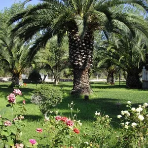 Таунхаус в Халкидики, фото 5