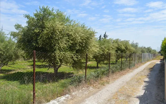 Земельный участок в Municipal Unit of Assos - Lechaio