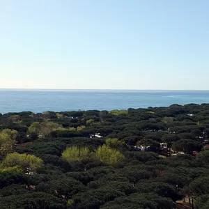 Квартира в Бланес, фото 2