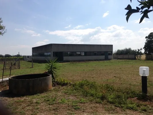 Промышленность в Рим