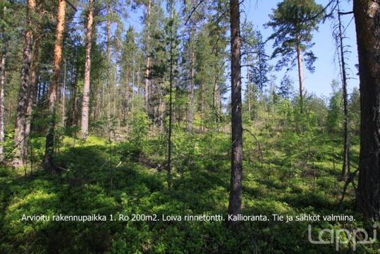 Земельный участок в Савонлинна