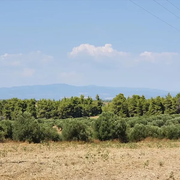 Земельный участок в Kassandra Municipality, фото 1