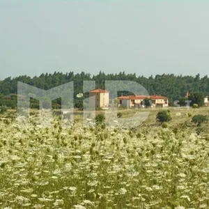 Земельный участок в Ситониа, фото 4