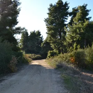 Земельный участок в Kassandra Municipality, фото 2