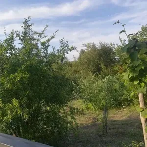 Дом в Македония и Фракия, фото 4