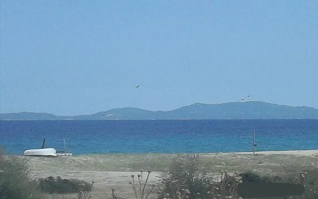 Земельный участок в Aristotle University of Thessaloniki