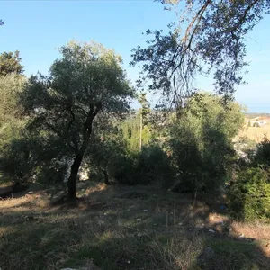 Земельный участок в Corfu, фото 5
