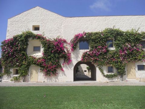 Квартира в Тавира