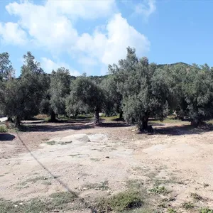 Земельный участок в Kassandra Municipality, фото 2
