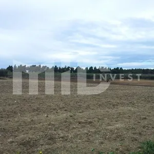 Земельный участок в Каллифея (Кассандра), фото 3