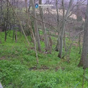 Таунхаус в Фрайне, фото 3