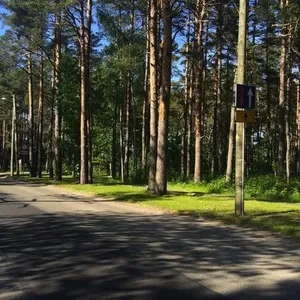 Отдельный дом в Юрмала, фото 4