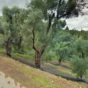 Земельный участок в Corfu, фото 4