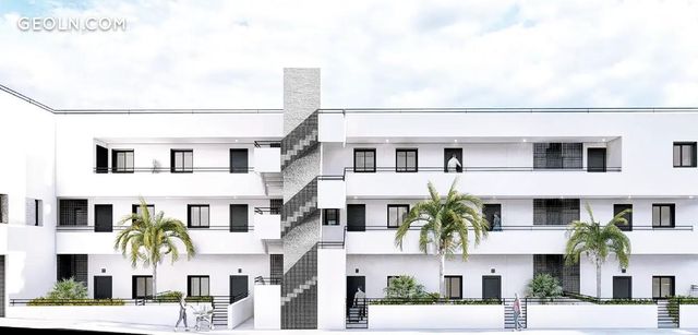 Girasoles  in Alhaurin de la Torre