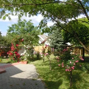 Отдельный дом в Кестхей, фото 4